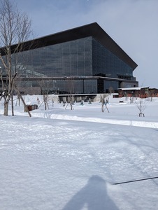 PXL_20240204_015126761