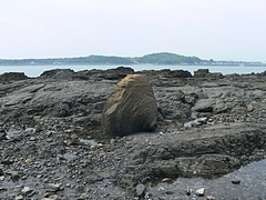 20101101_02