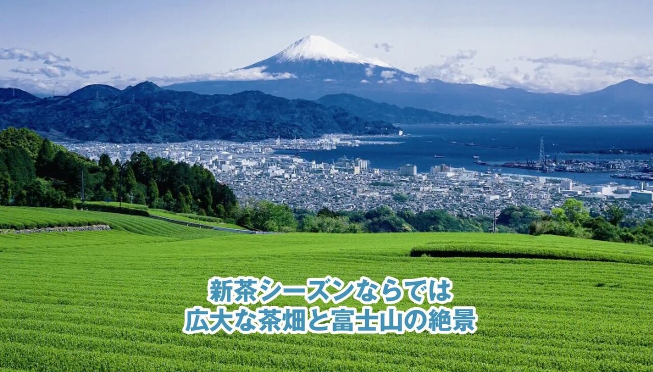 おうちgw 静岡市の 絶景 に心を癒される 動画公開中 Nicheee ニッチー テレビリサーチ会社がお届けする情報サイト