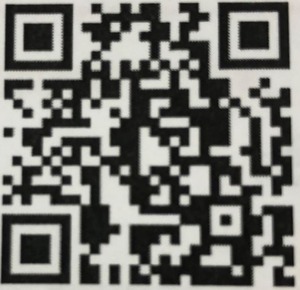 ����ץ���