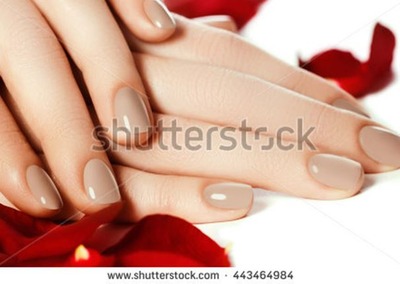 ����ץ���