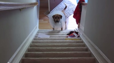 ���ꥶ�٥����顼��