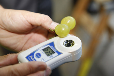 160530_�������쥭����ɥꥢ�鶥��_06