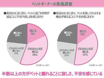 �ѥʥ��˥å���