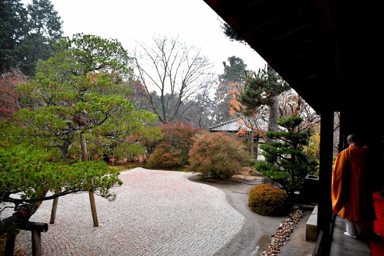 京都 石庭めぐり 洛北の名刹 曼殊院で枯山水庭園 石庭スイーツ づくり Nicheee ニッチー テレビリサーチ会社がお届けする情報サイト