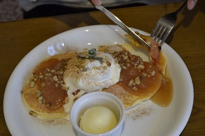 �ѥ󥱡�����