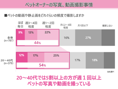 �ѥʥ��˥å���