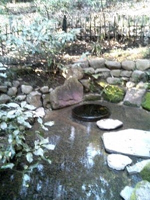 20100429_01