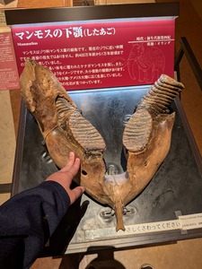 5690