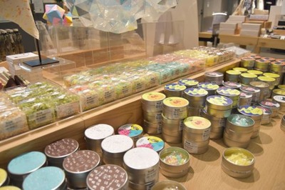 ����ץ���