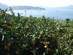 20100129_02