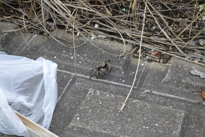 ���ߣ���