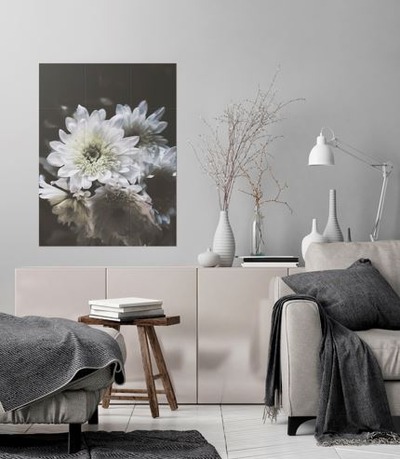 ����ץ���