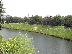 20100608_02