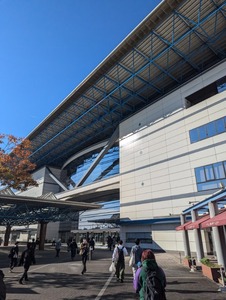 PXL_20241109_000313838