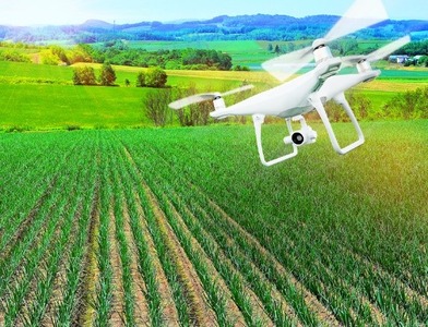 ������ƥå���