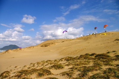 87d5d99f796cefe75c799ba583947e28_s