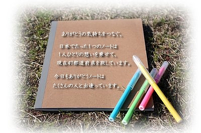 20100618_01