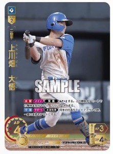 ����ץ���1