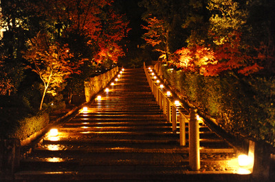 ½÷ºä_¥é¥¤¥È¥¢¥Ã¥×