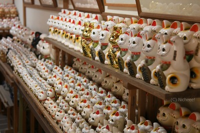 徳島 最新レポ 狛猫も絵馬も 境内に猫 猫 猫だらけの神社 ガジェット通信 Getnews
