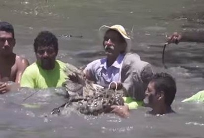 �������ꥫ��