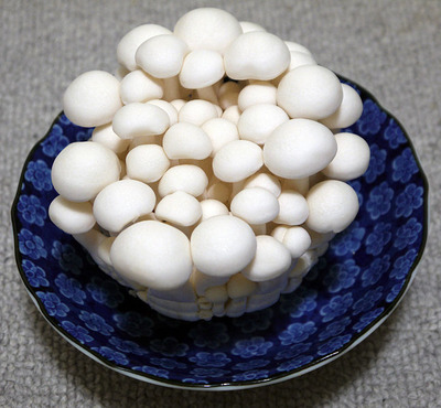 647px-Japanese_Hokto_Bunapie_2