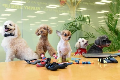 ���ˡ������ɥɥå���