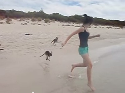 Ů��륫�󥬥롼