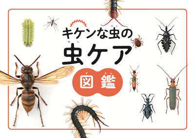 ����޴�ɽ��