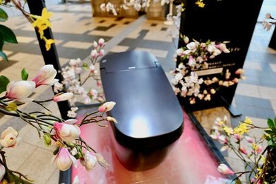 ����ץ���