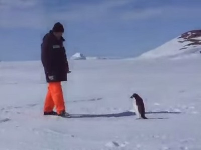 �����ڥ󥮥�