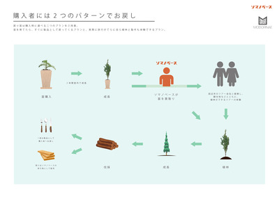 【ブロンズ】戻り苗