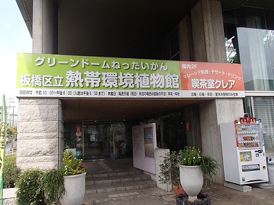 板橋区立の熱帯植物館でハワイ体験 Nicheee ニッチー テレビリサーチ会社がお届けする情報サイト 板橋区立の熱帯植物館でハワイ体験 Nicheee ニッチー テレビリサーチ会社がお届けする情報サイト