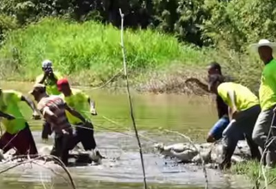 �������ꥫ��