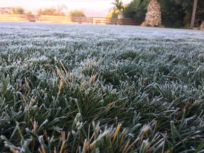 �̿����������Ĥ���Ȫ��