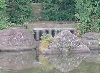 ÅìµþÅÔ¡¦S¸ø±à