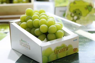 160530_�������쥭����ɥꥢ�鶥��_07