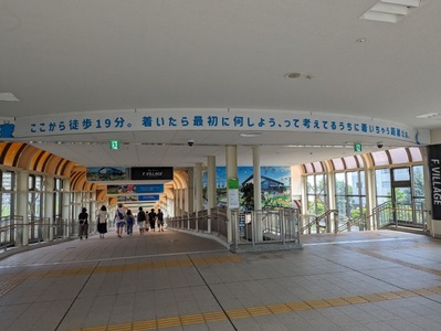 PXL_20230709_010727956