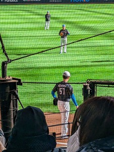 PXL_20231112_002316501