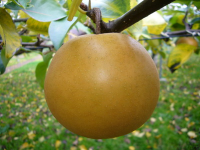 3908453419_4fde560376_o