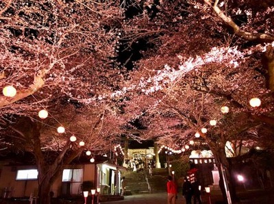 ����ץ���