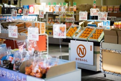 ����ץ���