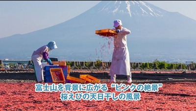 �����Ӥ��ٻλ�