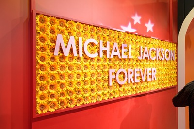 ひまわりインフィオラータ_s