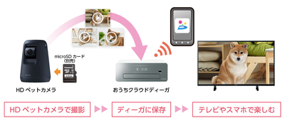 �ѥʥ��˥å���