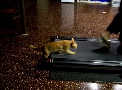 �롼����ʡ�ǭ