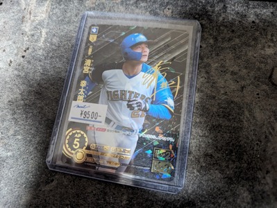 PXL_20240520_123817785.MP