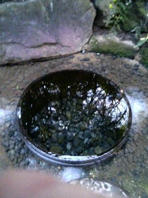 20100429_03