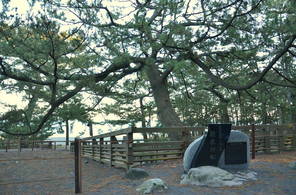 静岡女子旅 富士山の絶景スポット 三保松原 フランス人バレリーナと 羽衣の松 Nicheee ニッチー テレビリサーチ会社がお届けする情報サイト 静岡女子旅 富士山の絶景スポット 三保松原 フランス人バレリーナと 羽衣の松 Nicheee ニッチー テレビリサーチ会社がお届けする情報サイト